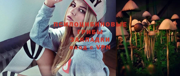 ПСИЛОЦИБИНОВЫЕ ГРИБЫ Алексеевка