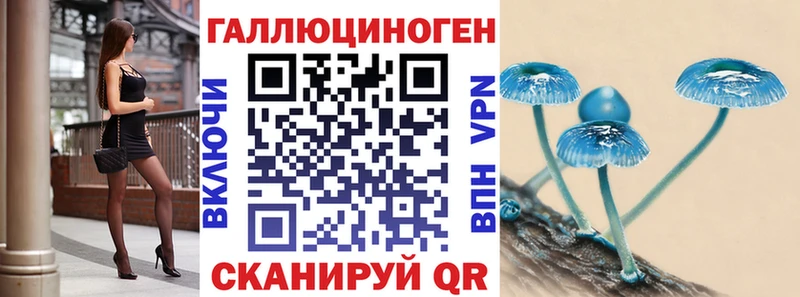 Купить где  Курильск  Галлюциногенные грибы Psilocybe 